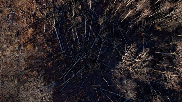 275 Preston Baggett Rd, Tennessee Ridge, TN 37178