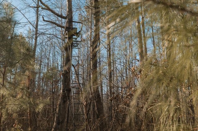 275 Preston Baggett Rd, Tennessee Ridge, TN 37178