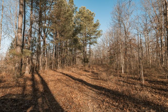 275 Preston Baggett Rd, Tennessee Ridge, TN 37178