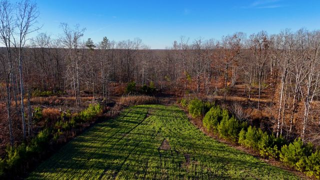 275 Preston Baggett Rd, Tennessee Ridge, TN 37178