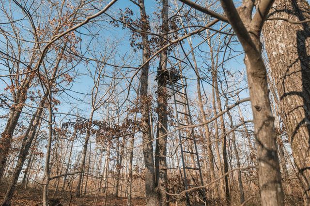 275 Preston Baggett Rd, Tennessee Ridge, TN 37178