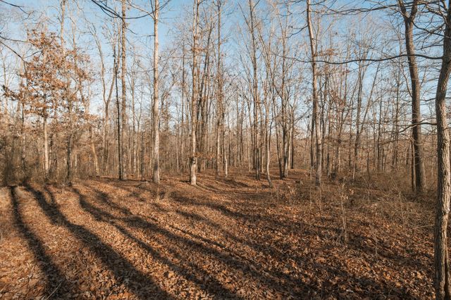 275 Preston Baggett Rd, Tennessee Ridge, TN 37178