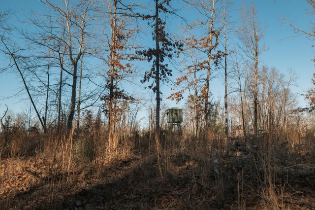 275 Preston Baggett Rd, Tennessee Ridge, TN 37178