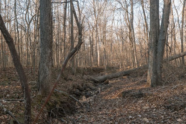 275 Preston Baggett Rd, Tennessee Ridge, TN 37178