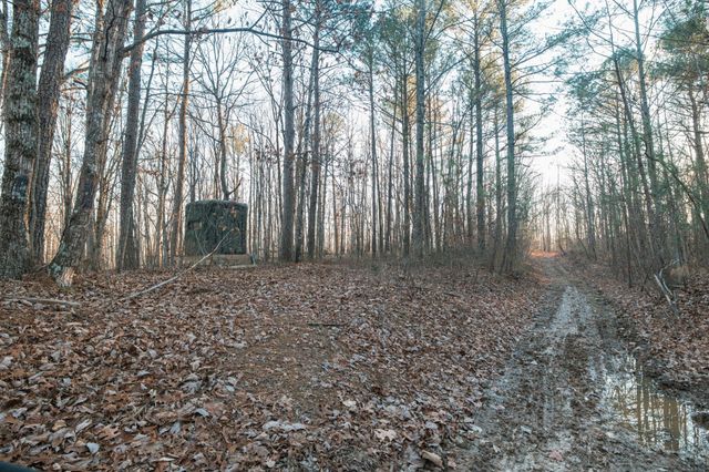 275 Preston Baggett Rd, Tennessee Ridge, TN 37178