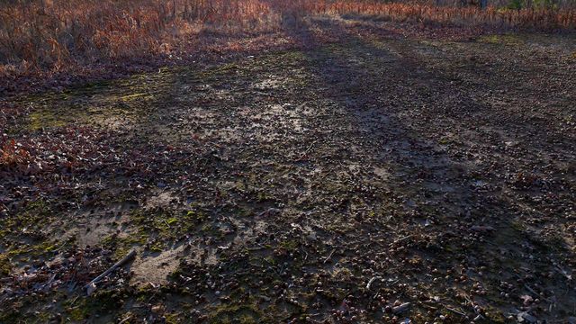 275 Preston Baggett Rd, Tennessee Ridge, TN 37178