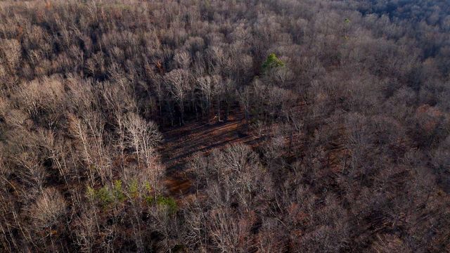 275 Preston Baggett Rd, Tennessee Ridge, TN 37178