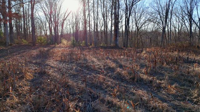 275 Preston Baggett Rd, Tennessee Ridge, TN 37178