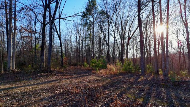 275 Preston Baggett Rd, Tennessee Ridge, TN 37178