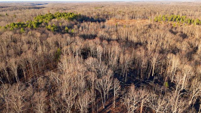 275 Preston Baggett Rd, Tennessee Ridge, TN 37178