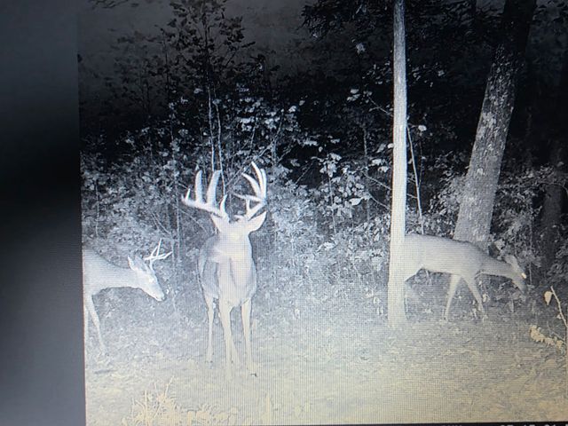 275 Preston Baggett Rd, Tennessee Ridge, TN 37178