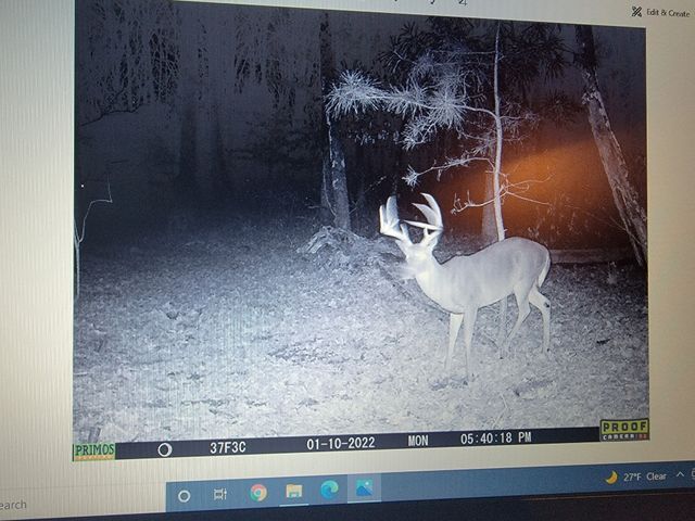 275 Preston Baggett Rd, Tennessee Ridge, TN 37178