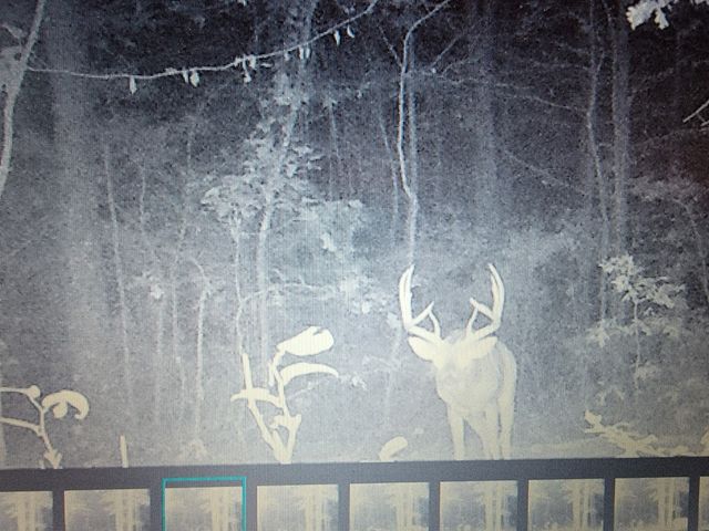 275 Preston Baggett Rd, Tennessee Ridge, TN 37178