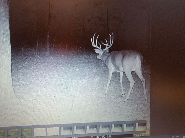 275 Preston Baggett Rd, Tennessee Ridge, TN 37178