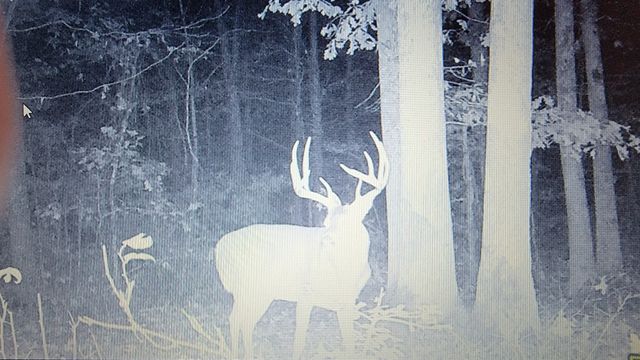 275 Preston Baggett Rd, Tennessee Ridge, TN 37178