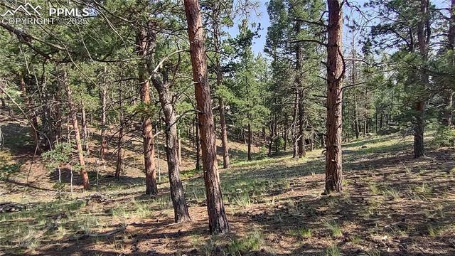 54 Garnet Way, Florissant, CO 80816