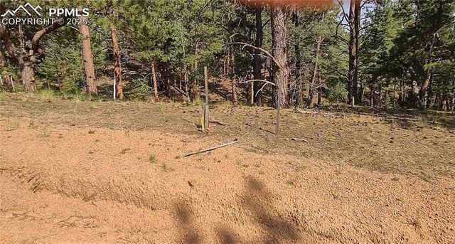 54 Garnet Way, Florissant, CO 80816