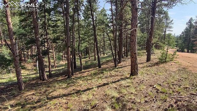 54 Garnet Way, Florissant, CO 80816