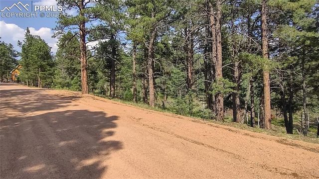 54 Garnet Way, Florissant, CO 80816