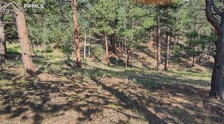 54 Garnet Way, Florissant, CO 80816