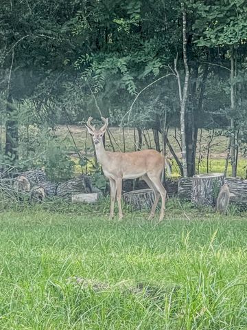 26615 South Creek Drive, Magnolia, TX 77354