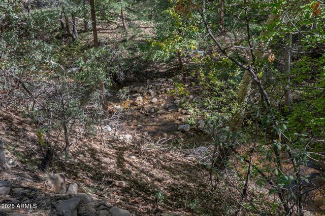 4719 N Pine Lane, Pine, AZ 85544