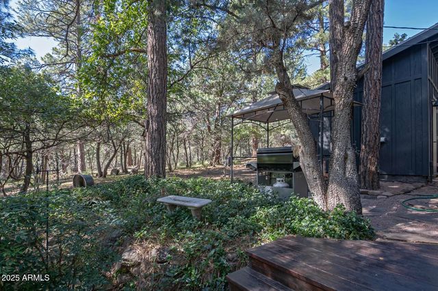 4719 N Pine Lane, Pine, AZ 85544