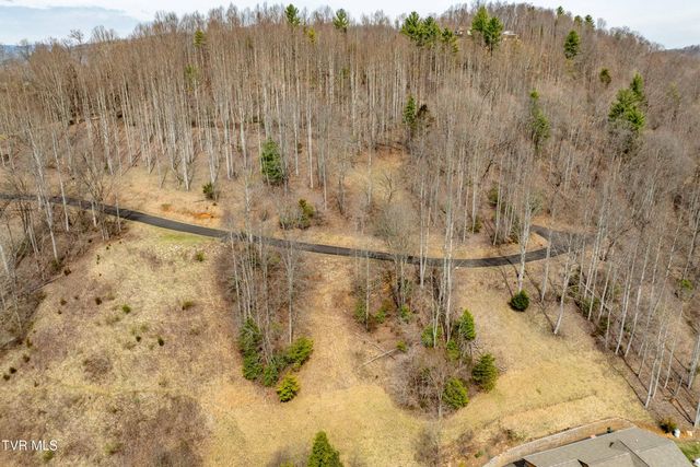 Tbd Lot 19 Mitchelle Arney Lane, Butler, TN 37640