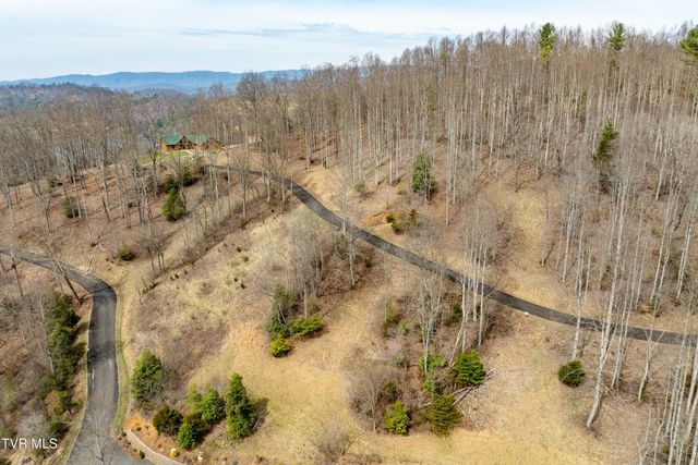 Tbd Lot 19 Mitchelle Arney Lane, Butler, TN 37640