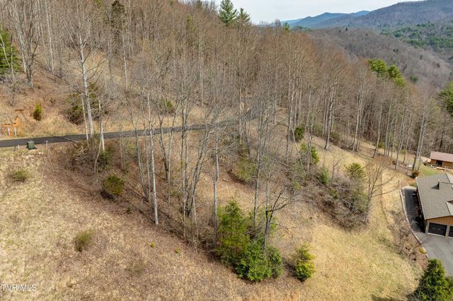 Tbd Lot 19 Mitchelle Arney Lane, Butler, TN 37640