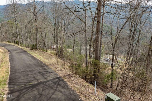 Tbd Lot 19 Mitchelle Arney Lane, Butler, TN 37640