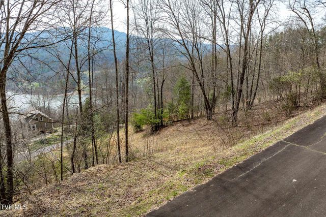 Tbd Lot 19 Mitchelle Arney Lane, Butler, TN 37640