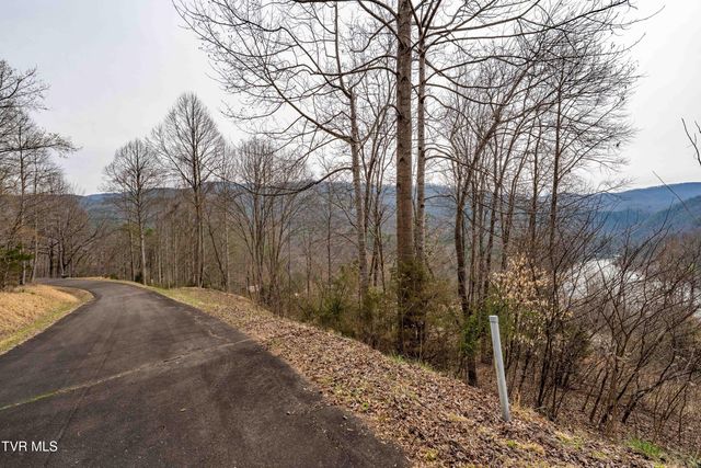 Tbd Lot 19 Mitchelle Arney Lane, Butler, TN 37640