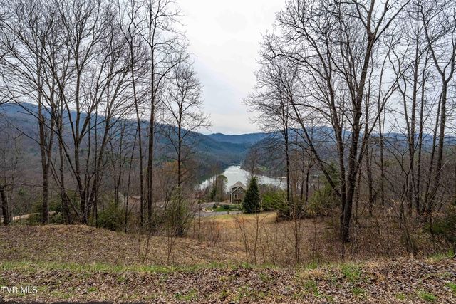Tbd Lot 19 Mitchelle Arney Lane, Butler, TN 37640