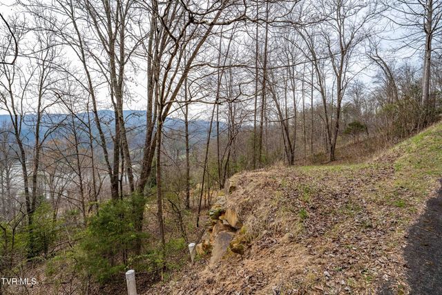 Tbd Lot 19 Mitchelle Arney Lane, Butler, TN 37640