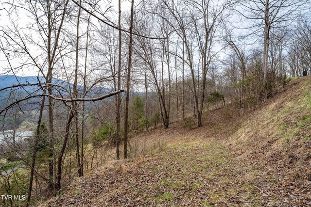 Tbd Lot 19 Mitchelle Arney Lane, Butler, TN 37640