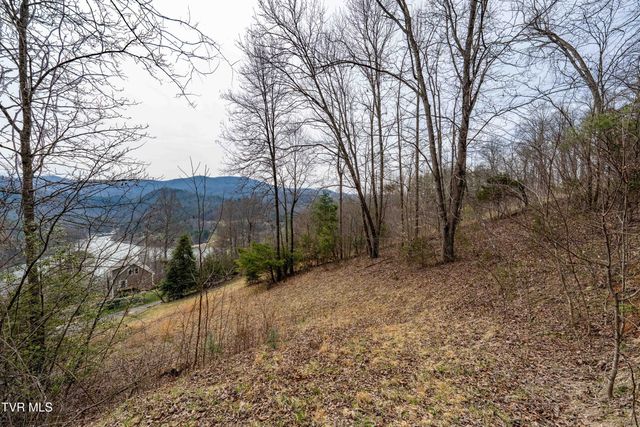 Tbd Lot 19 Mitchelle Arney Lane, Butler, TN 37640