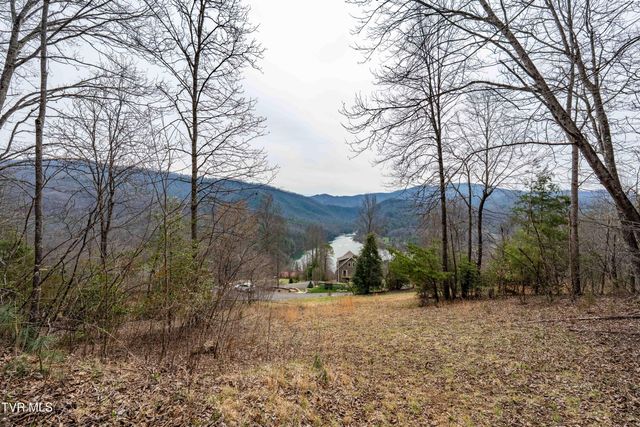Tbd Lot 19 Mitchelle Arney Lane, Butler, TN 37640