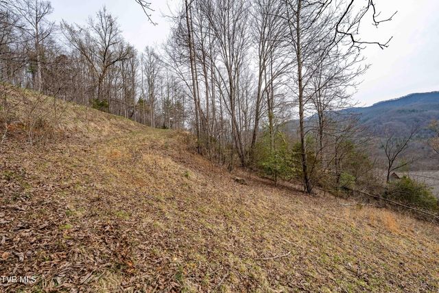 Tbd Lot 19 Mitchelle Arney Lane, Butler, TN 37640