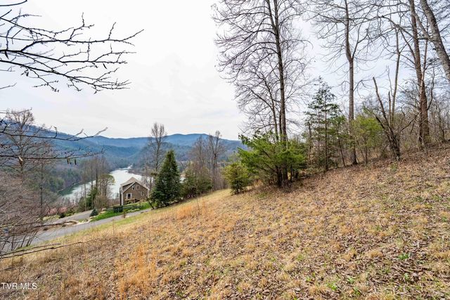 Tbd Lot 19 Mitchelle Arney Lane, Butler, TN 37640