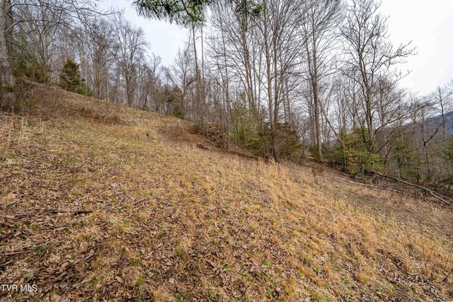 Tbd Lot 19 Mitchelle Arney Lane, Butler, TN 37640