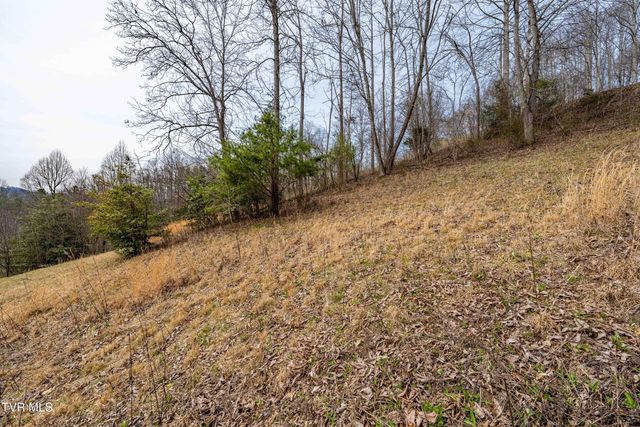 Tbd Lot 19 Mitchelle Arney Lane, Butler, TN 37640