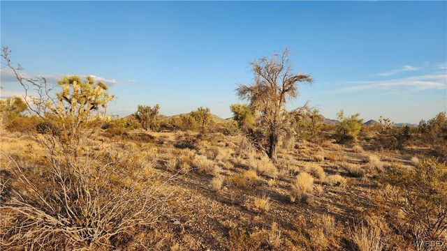 2204 S Six Shooter Road, Yucca, AZ 86438