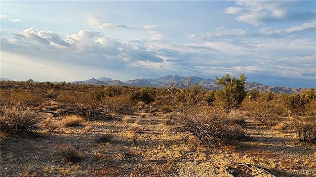 2204 S Six Shooter Road, Yucca, AZ 86438