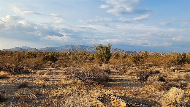 2204 S Six Shooter Road, Yucca, AZ 86438