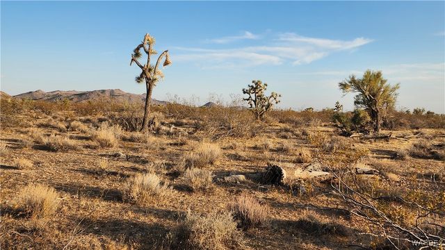 2204 S Six Shooter Road, Yucca, AZ 86438