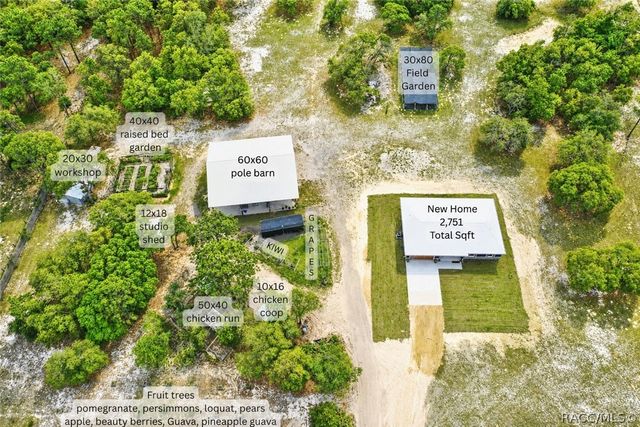 6254 W Peking Court, Dunnellon, FL 34433