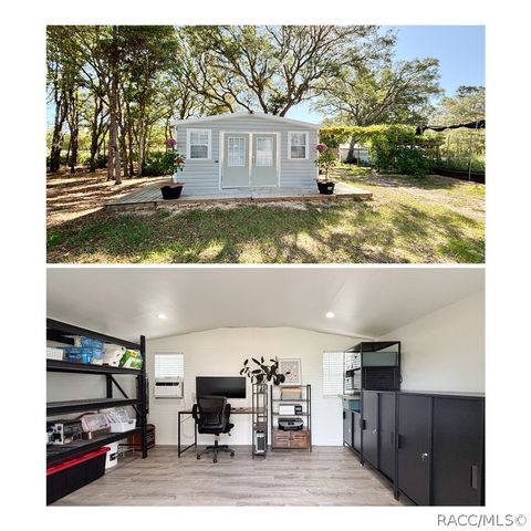 6254 W Peking Court, Dunnellon, FL 34433