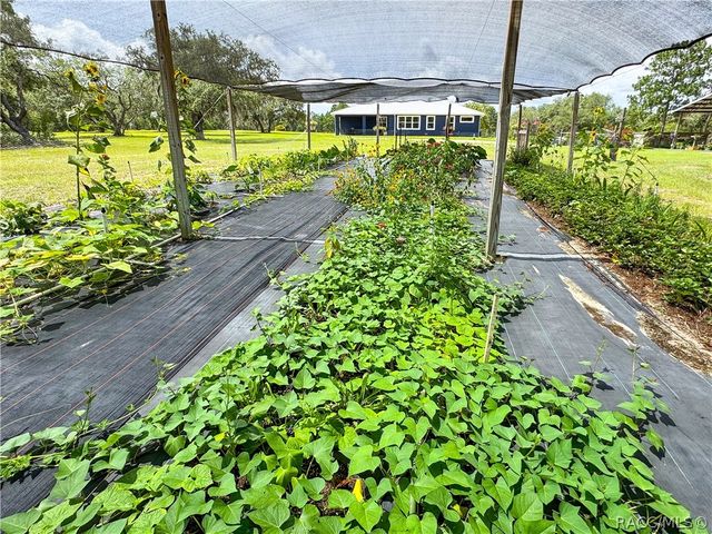 6254 W Peking Court, Dunnellon, FL 34433