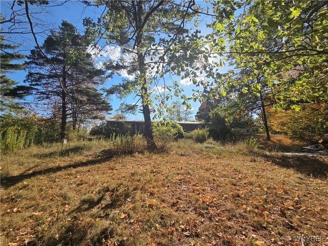 14503 Erway Trak Road, Carlton, NY 14411